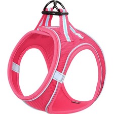 Hundegeschirr Kleine Hunde