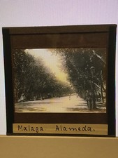 altes Glasdia Fotoplatte 8,1 x