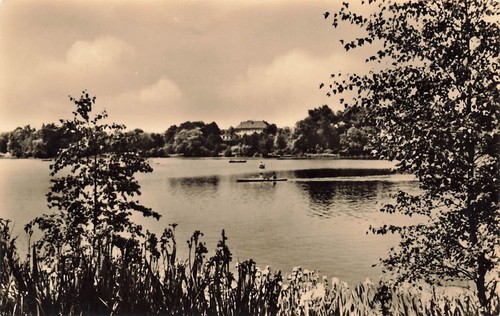 Zwickau - ak, (08056)