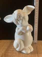 Große  Lachender Hase weiß