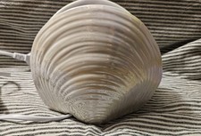 PartyLite Elektrische