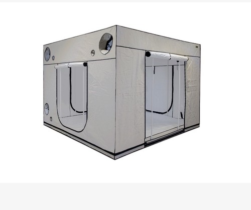 Homebox ambient q300 plus - ambient,