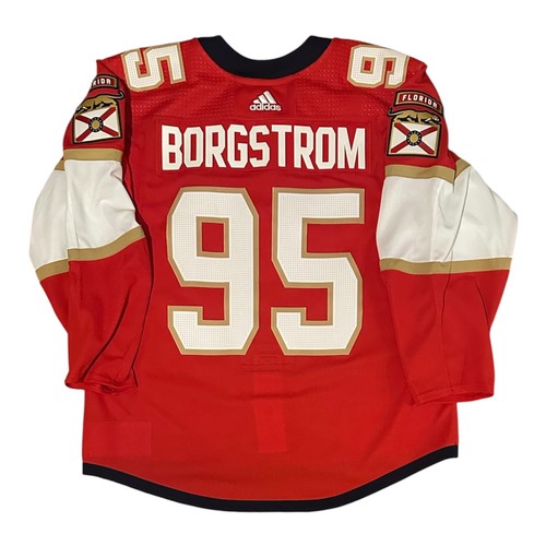 Florida panthers - florida, –