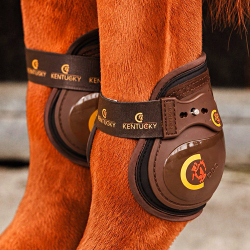 Kentucky moonboots elastic - kentucky,