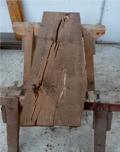 Mooreiche moorholz - mooreiche,