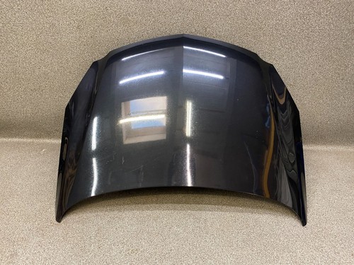 Motorhaube schwarz metallic - motorhaube,