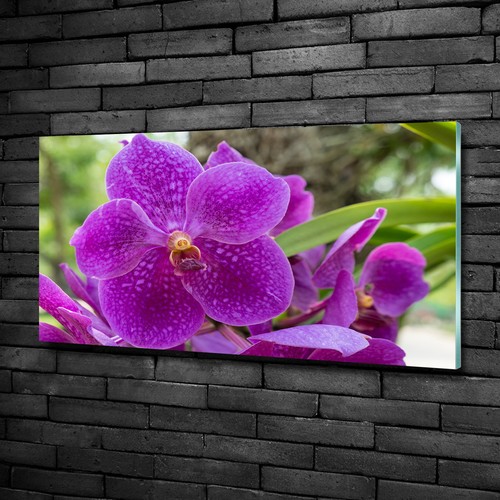 Wandbild glas bild druck auf - glas-bild,