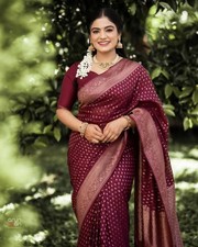 Sari indien pakistan hochzeit - indien,