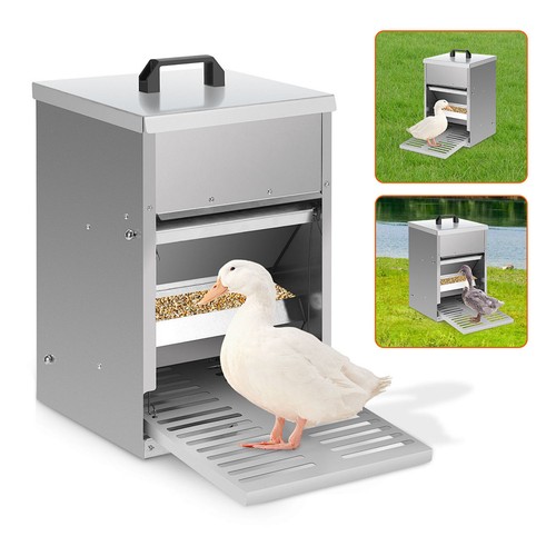Futterautomat hühner