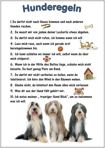 Warnschild 20x30cm - warnschild,