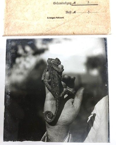 Tolles antikes orig - tolles,