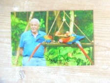 original David Attenborough