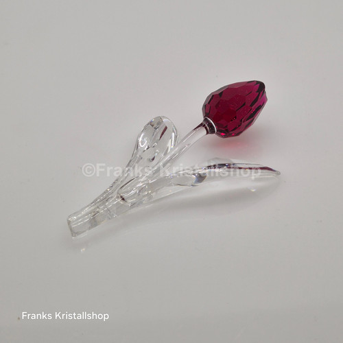 Swarovski scs tulpe rot - swarovski,