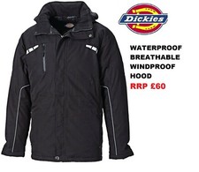 Dickies Winter wasserdichte