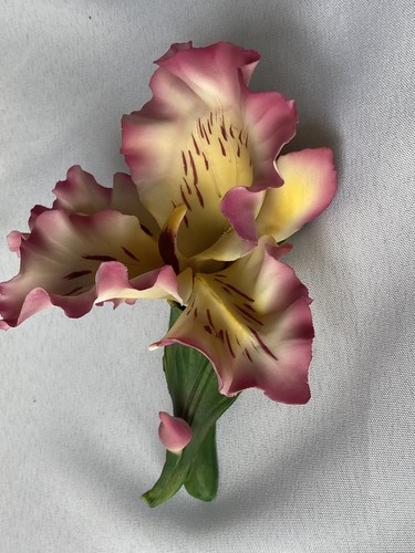 Capodimonte fabar blüteniris - capodimonte, fabar,