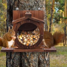 Eichhörnchen futterhaus - eichhörnchen,