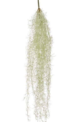 Künstliche tillandsia - künstliche,