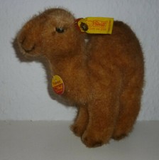 STEIFF / DROMEDAR TRAMPY /