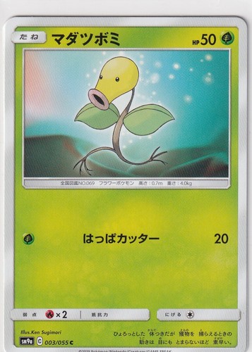 Pokemon karte japanisch night - pokemon,