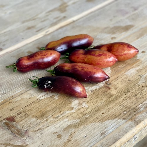 Tomate antho pink - tomate,