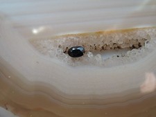 Echter Saphir blau oval