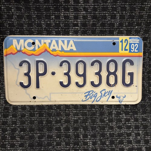 Original auto kennzeichen - original, us