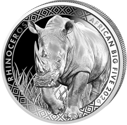 Silbermünze african big five - african,