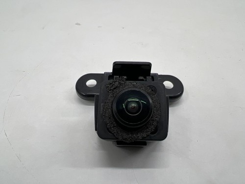 Fiat 600 2025 ckfahrkamera - fiat,