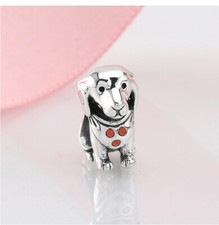 Charm Anhänger passt zu