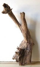 Treibholz Schwemmholz