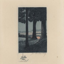 Worpswede cornelius rogge - worpswede,