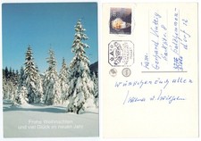 127122 - Verschneite Tannen -