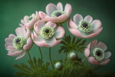 Wandbild: Ein Makrofoto einer