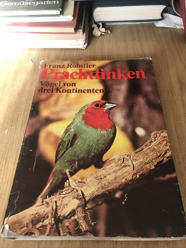Prachtfinken franz - prachtfinken,
