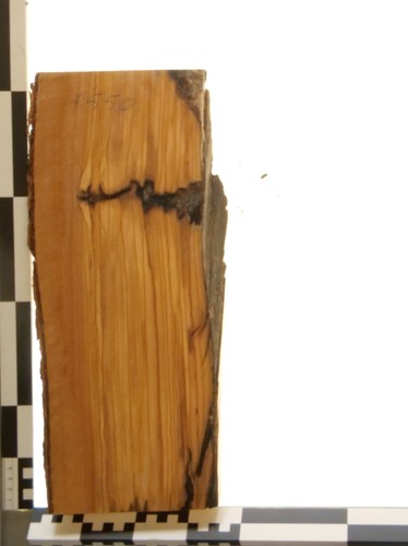 Olivenholz epoxid holz - holz, 2,8