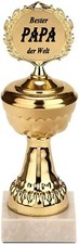 Goldener pokal bester papa der - papa,