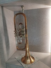 Trompeta Gebr Alexander Mainz