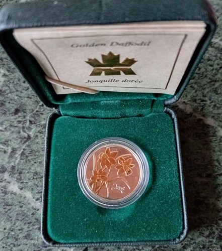 Kanada golden daffodil - kanada,