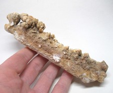Tropfstein stalagmit - +++,