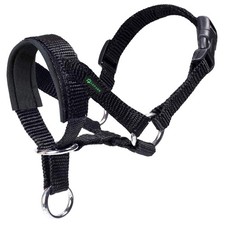 Gepolstertes Hundehalfter M -