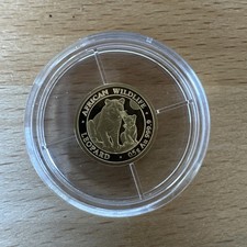 Leopard African Wildlife 2024