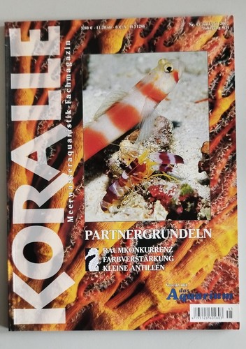 Koralle 45 partnergrundeln - koralle,
