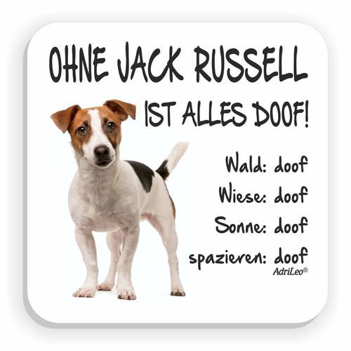 Kühlschrankmagnet ohne jack - "ohne,