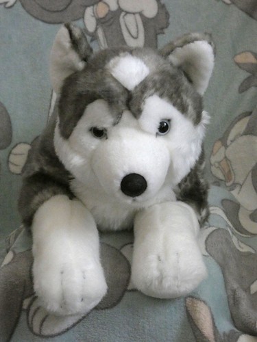 Husky animal alley toys - animal,
