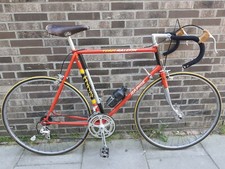 Rennrad Raleigh Rapide Team RH