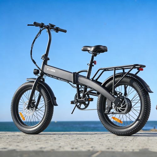 Bike zoll 350w - zoll,