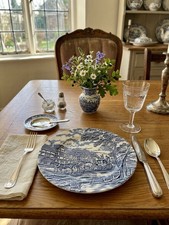 Vintage Speiseteller Myott