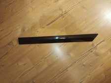 Zierleiste Tür hinten links