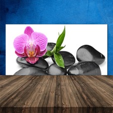 Küchenrückwand aus Glas ESG