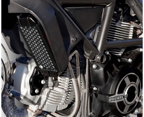 Dbk ducabike ölkühlerschutz - dbk/ducabike,